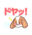 いぬはちゃんスタンプ（個別スタンプ：12）