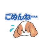 いぬはちゃんスタンプ（個別スタンプ：13）