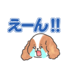 いぬはちゃんスタンプ（個別スタンプ：14）