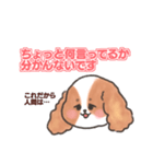 いぬはちゃんスタンプ（個別スタンプ：19）