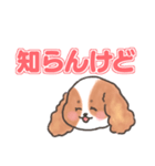 いぬはちゃんスタンプ（個別スタンプ：21）