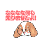 いぬはちゃんスタンプ（個別スタンプ：23）