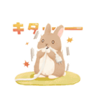 pet*rable｜ゆかいでかわいいペットたち（個別スタンプ：1）