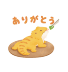 pet*rable｜ゆかいでかわいいペットたち（個別スタンプ：8）