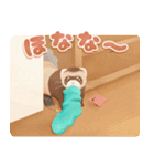 pet*rable｜ゆかいでかわいいペットたち（個別スタンプ：9）