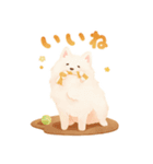 pet*rable｜ゆかいでかわいいペットたち（個別スタンプ：15）