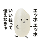 エッホエッホ！おこめちゃん♡（個別スタンプ：3）