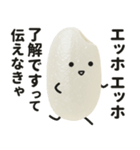 エッホエッホ！おこめちゃん♡（個別スタンプ：4）