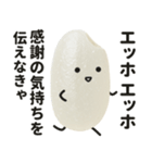 エッホエッホ！おこめちゃん♡（個別スタンプ：9）