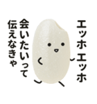 エッホエッホ！おこめちゃん♡（個別スタンプ：10）