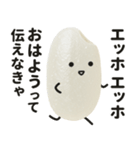 エッホエッホ！おこめちゃん♡（個別スタンプ：13）