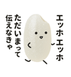 エッホエッホ！おこめちゃん♡（個別スタンプ：17）