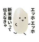 エッホエッホ！おこめちゃん♡（個別スタンプ：27）