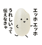 エッホエッホ！おこめちゃん♡（個別スタンプ：29）