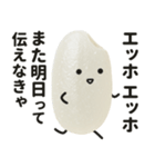 エッホエッホ！おこめちゃん♡（個別スタンプ：32）