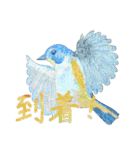 鳥たちの楽園2（個別スタンプ：5）