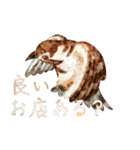 鳥たちの楽園2（個別スタンプ：11）