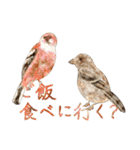 鳥たちの楽園2（個別スタンプ：14）