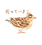 鳥たちの楽園2（個別スタンプ：16）