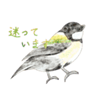 鳥たちの楽園2（個別スタンプ：17）