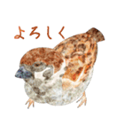 鳥たちの楽園2（個別スタンプ：21）