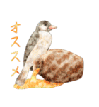 鳥たちの楽園2（個別スタンプ：24）