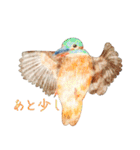 鳥たちの楽園2（個別スタンプ：25）
