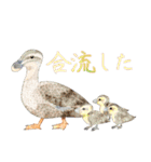 鳥たちの楽園2（個別スタンプ：27）