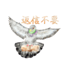 鳥たちの楽園2（個別スタンプ：28）