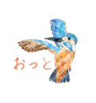 鳥たちの楽園2（個別スタンプ：29）