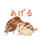 鳥たちの楽園2（個別スタンプ：33）
