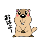 マーモットくん☆（個別スタンプ：1）