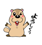 マーモットくん☆（個別スタンプ：3）