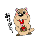 マーモットくん☆（個別スタンプ：5）