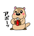 マーモットくん☆（個別スタンプ：19）