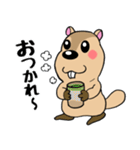 マーモットくん☆（個別スタンプ：37）