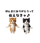 関西弁♡エッホエッホネコたちにゃんだふる（個別スタンプ：3）