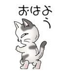 猫大好き！（大）その52（個別スタンプ：1）