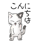 猫大好き！（大）その52（個別スタンプ：2）