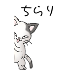猫大好き！（大）その52（個別スタンプ：4）