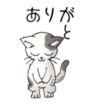 猫大好き！（大）その52（個別スタンプ：5）