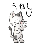猫大好き！（大）その52（個別スタンプ：6）