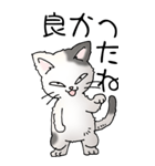 猫大好き！（大）その52（個別スタンプ：8）