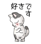猫大好き！（大）その52（個別スタンプ：9）