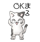 猫大好き！（大）その52（個別スタンプ：11）