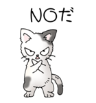 猫大好き！（大）その52（個別スタンプ：12）