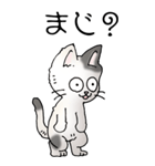 猫大好き！（大）その52（個別スタンプ：13）