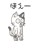 猫大好き！（大）その52（個別スタンプ：15）