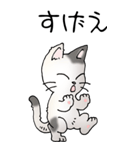 猫大好き！（大）その52（個別スタンプ：16）