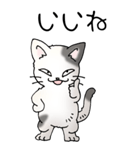猫大好き！（大）その52（個別スタンプ：17）